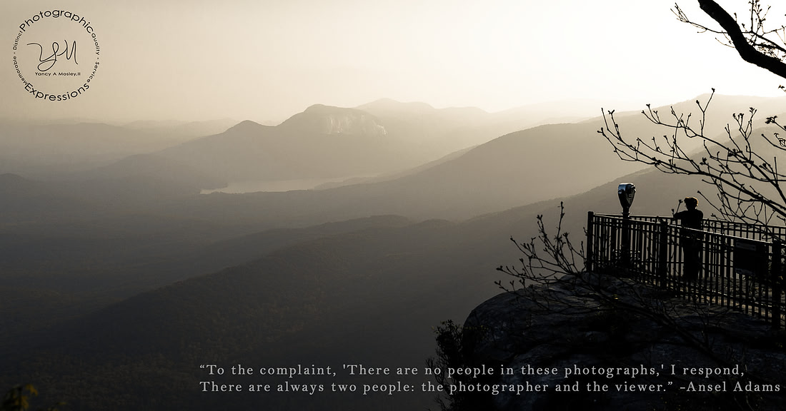“To the complaint,